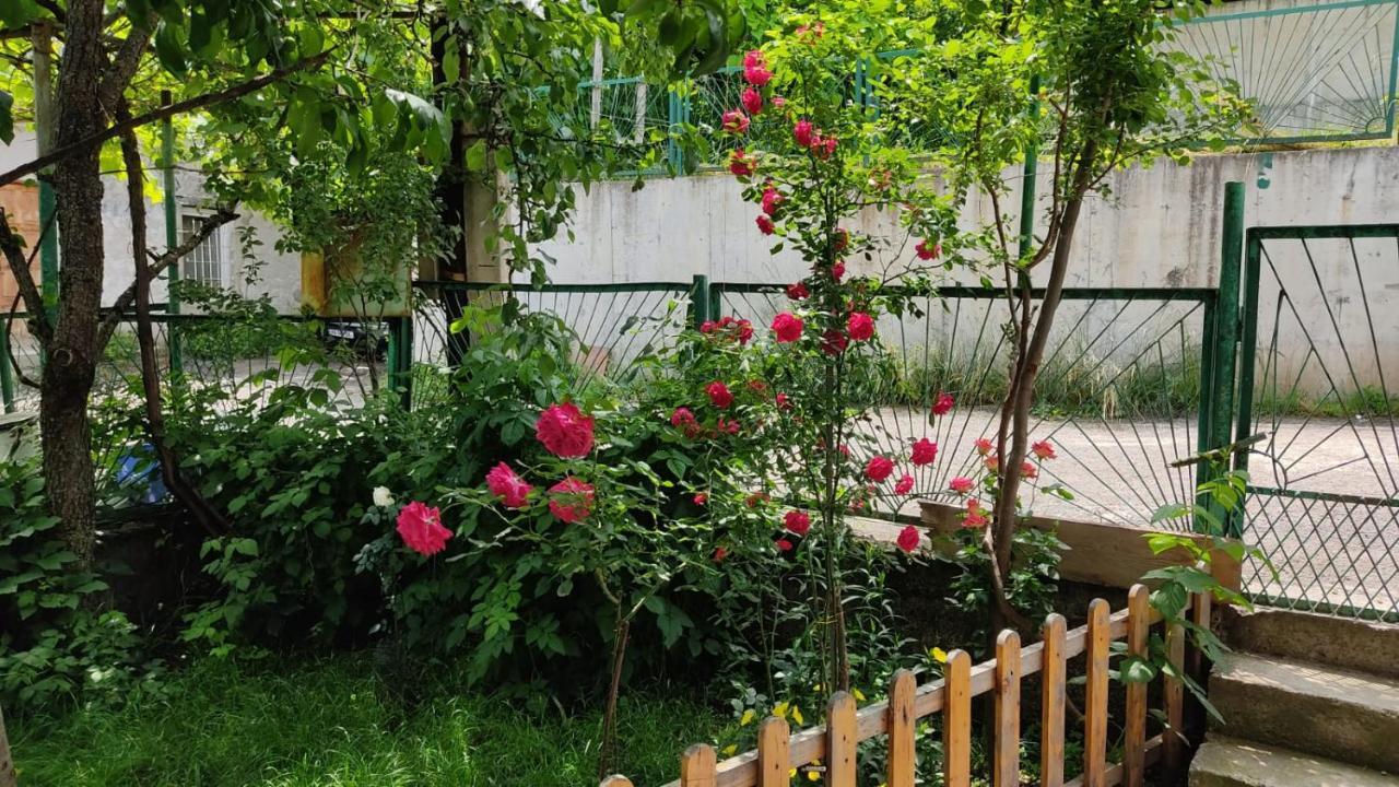 מלון Borjomi Nest מראה חיצוני תמונה