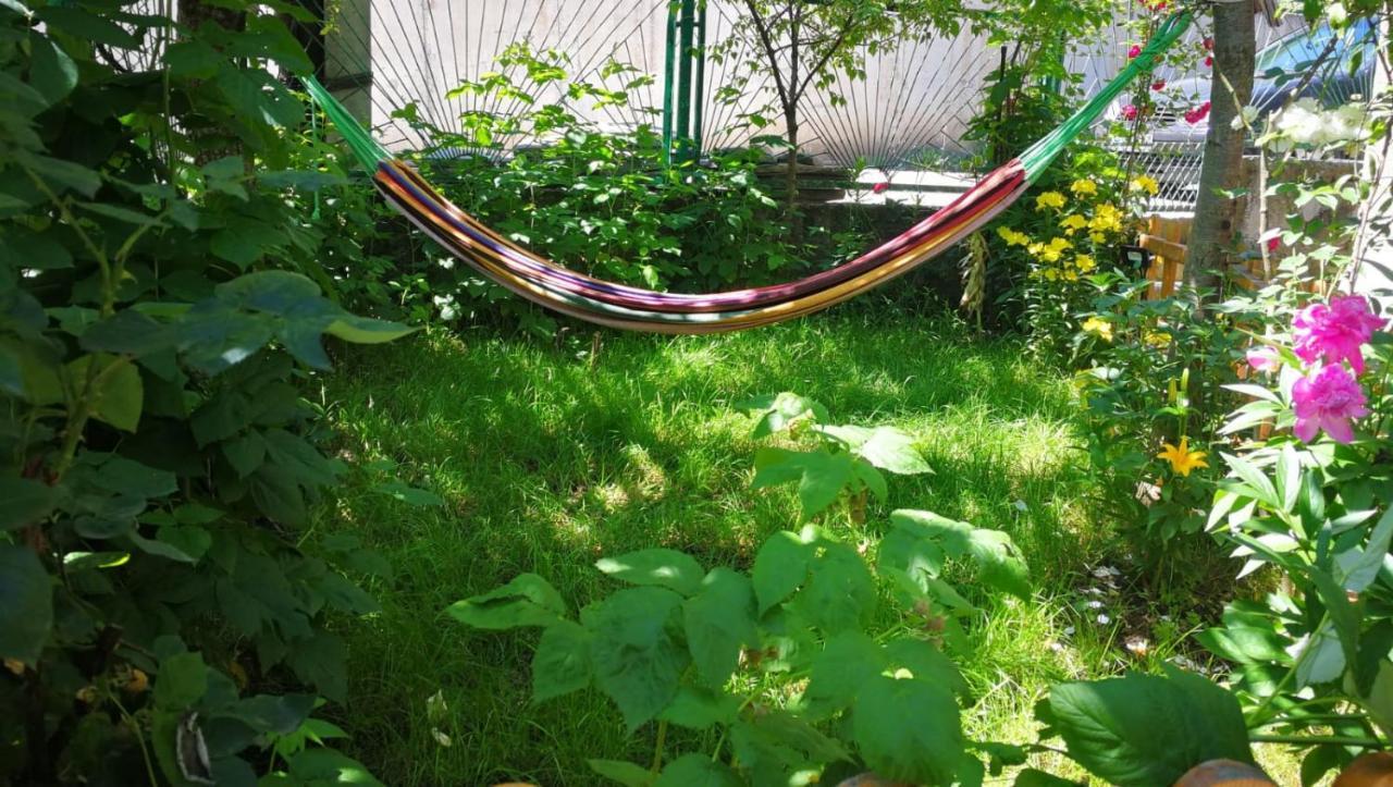 מלון Borjomi Nest מראה חיצוני תמונה