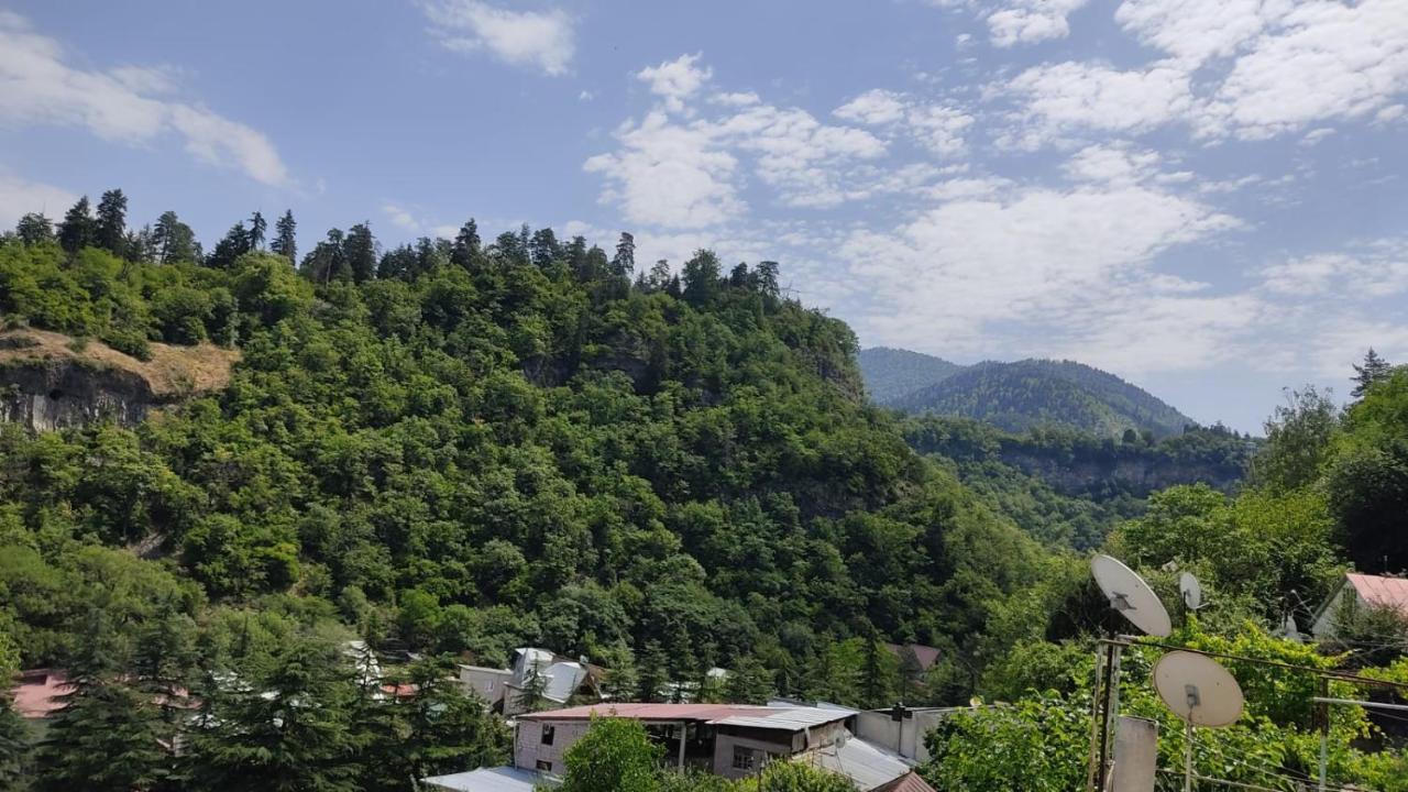 מלון Borjomi Nest מראה חיצוני תמונה