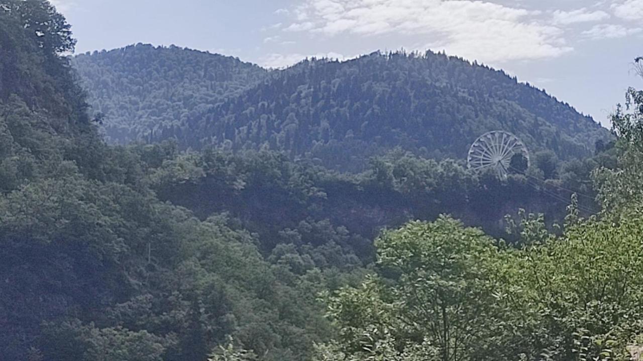 מלון Borjomi Nest מראה חיצוני תמונה